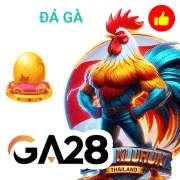 33wim Game 07